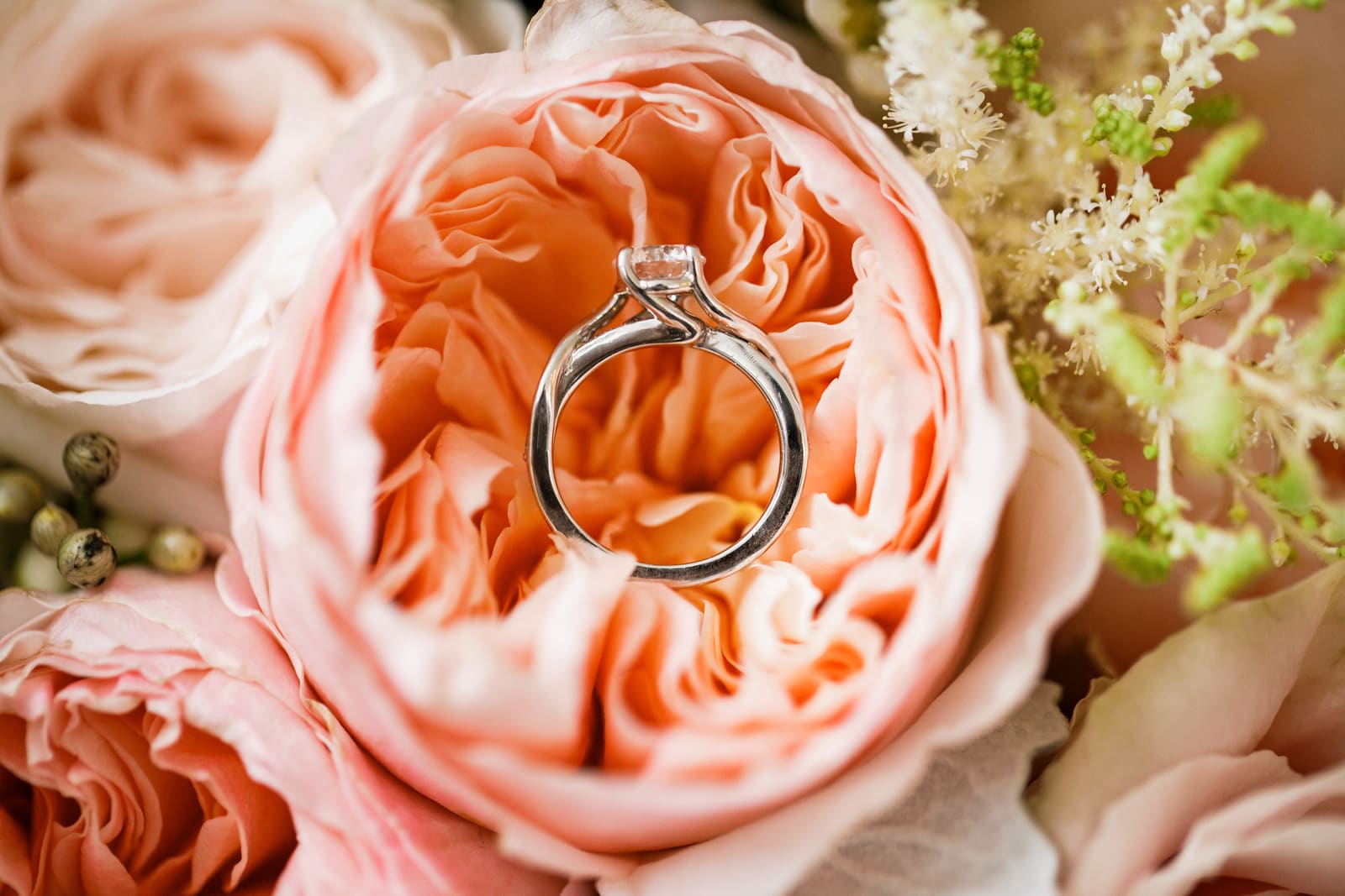 Seamless elopement planning by Cloud Nine